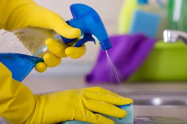 İzmir Temizlik Şirketleri